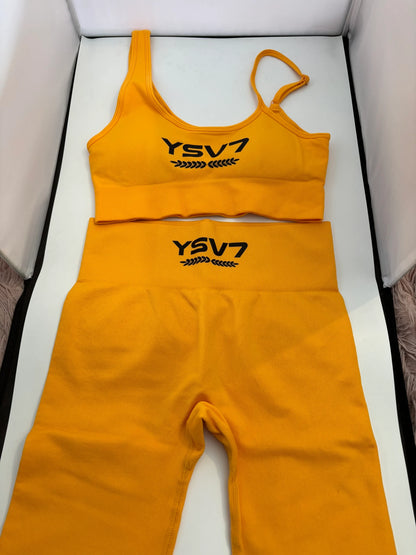 SHAPEWEAR TANGERINE SPORTS BRA TOP AND LEGGINGS